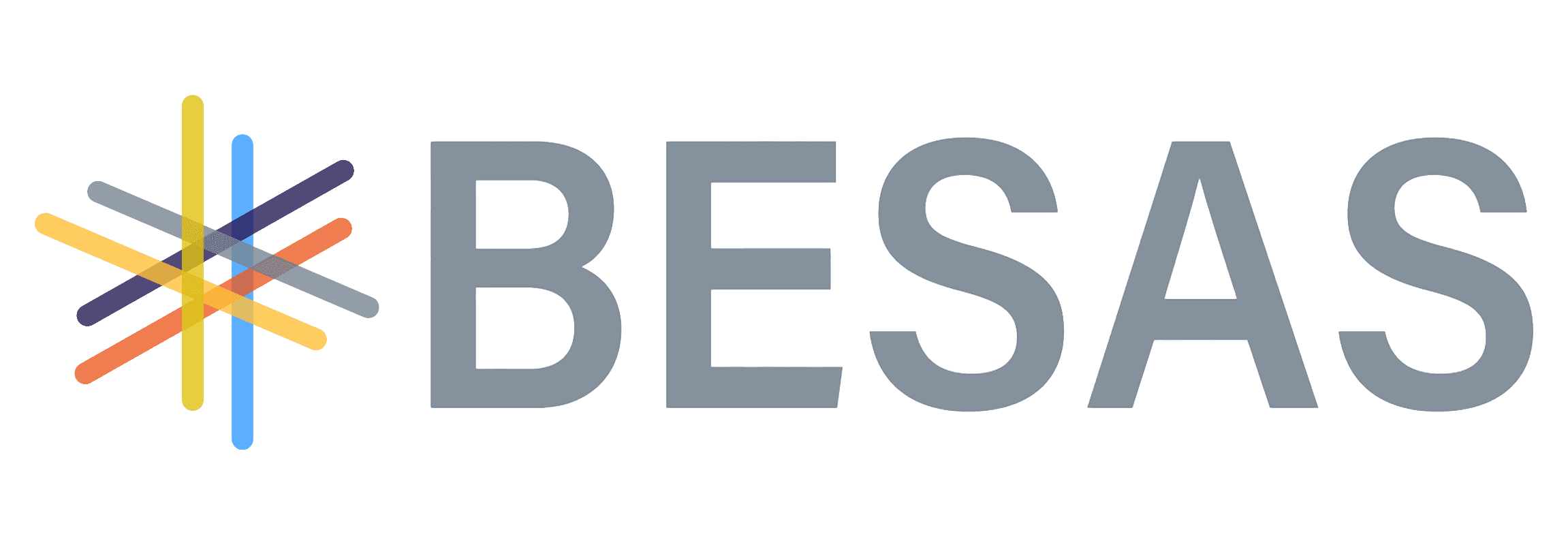 BESAS logo